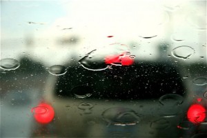 img_8306rt